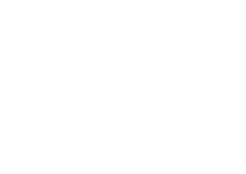 むぎの花ブログ